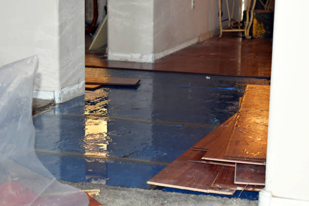 Professional Burst Pipe Cleanup technician working in Harwich Port, MA
